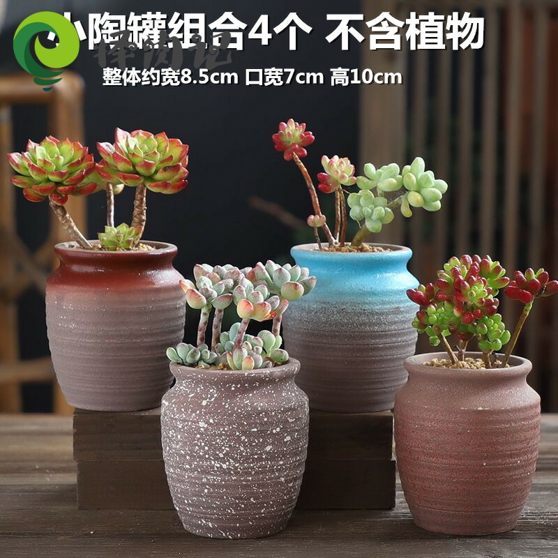 Feature Large caliber small creative Zhuang High style office lounge decoration kind of fleshy flower pot