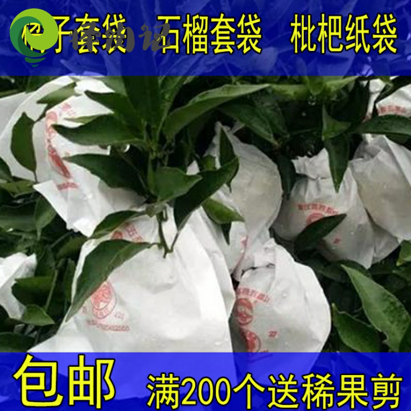 Citrus Bagging Special Bag Orange Paper Bag Orange No Wonder Ougly Orange Love Yuanyuan Orange Spring See Pomegranate Loquat Bagging Bag