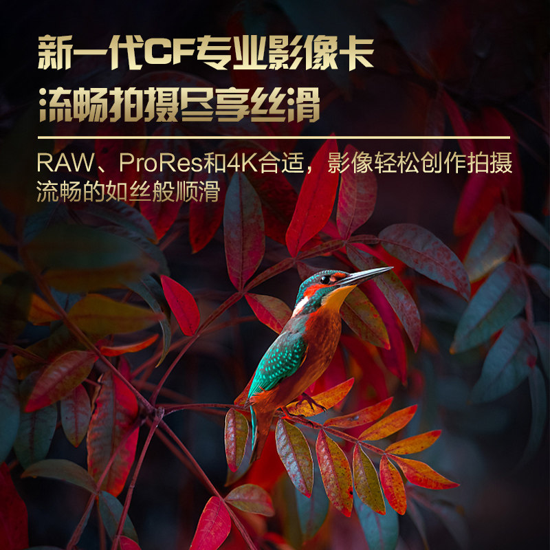 Miaopu CF card for Nikon D4S D5 D800 D810 Suha H6D camera memory card CFast storage