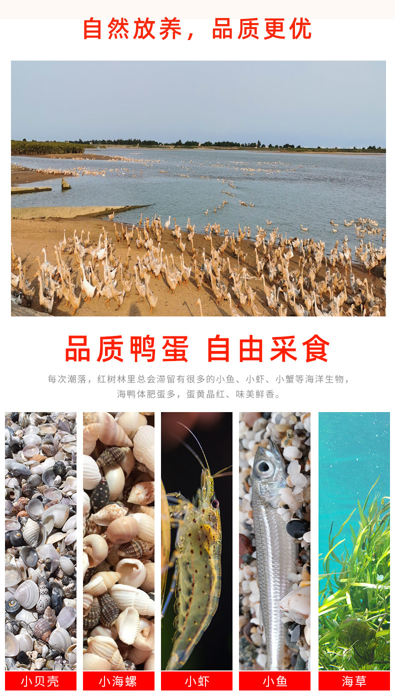 北部湾特产 鸭中宝 红树林特大烤海鸭蛋 70g*20枚 图3