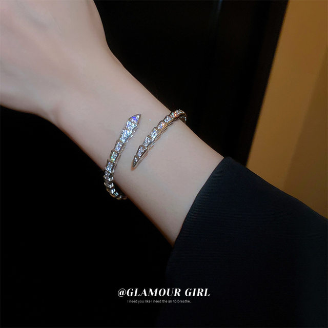 ເອີຣົບແລະອາເມລິກາ zircon ສາຍແຂນເປີດຮູບງູ Internet ສະເຫຼີມສະຫຼອງໃນແບບເຢັນ high-end bracelet niche ຄົນອັບເດດ: ອຸປະກອນມື