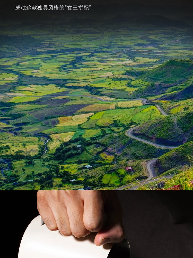 【中国直邮】 瑞幸咖啡 【Aga冠军臻选-中深烘焙】传奇奶咖拼配咖啡豆 *1袋