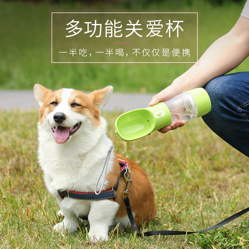 Portable water bottle for dogs
