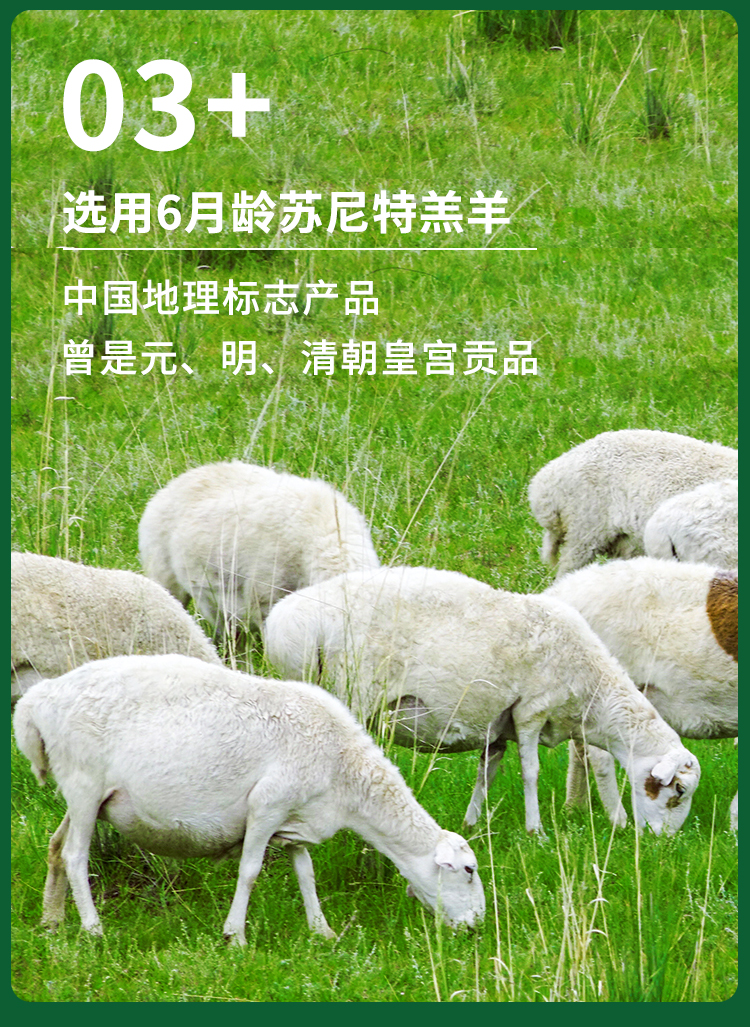 内蒙古锡林郭勒 6月龄苏尼特羔羊羊 养肉套餐 6斤 图4