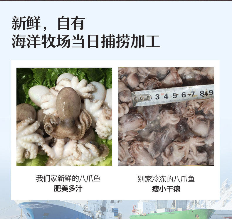 食邦人 即食麻辣八爪鱼罐头 300g 图2
