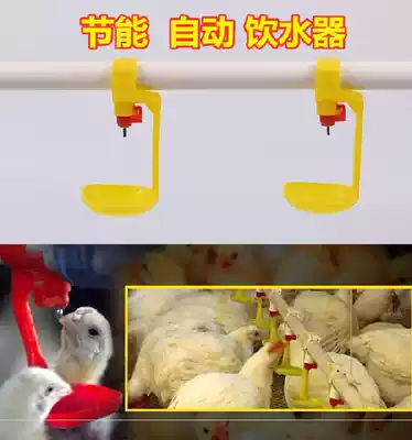 Special thick stainless steel broiler chicken automatic drinking fountain chicken farm feeding chicken chicks one-piece nipple type automatic