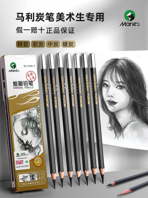 Mali Brand Professional Sketching Charcoal Pencils, Special Soft Charcoal for Art Students, Medium Charcoal, Hard Charcoal, Extra Soft Pencils, White 8B12B14B16B Tool Set for Beginners, Students, Drawing, Art Exams