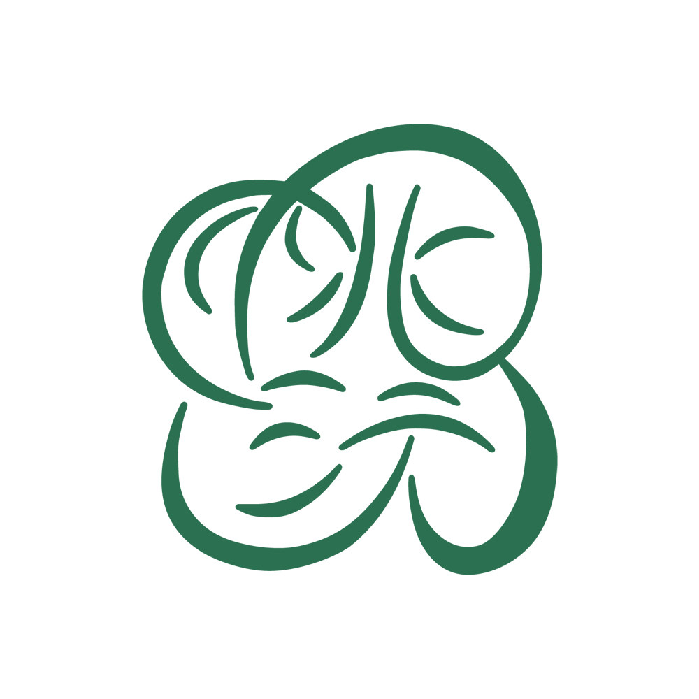 桃沅木耳企业店