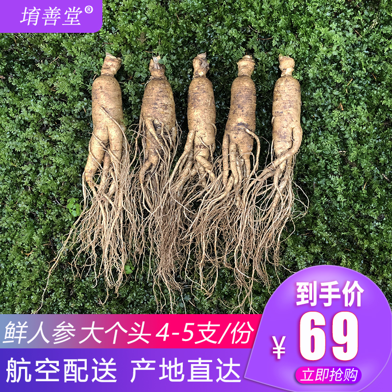 Fresh ginseng fresh Changbai Mountain big can be vacuum packed non-wild ginseng fresh ginseng soup and wine single 50g