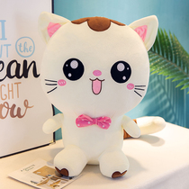 Cute plush doll Cat doll Little Grizzly bear