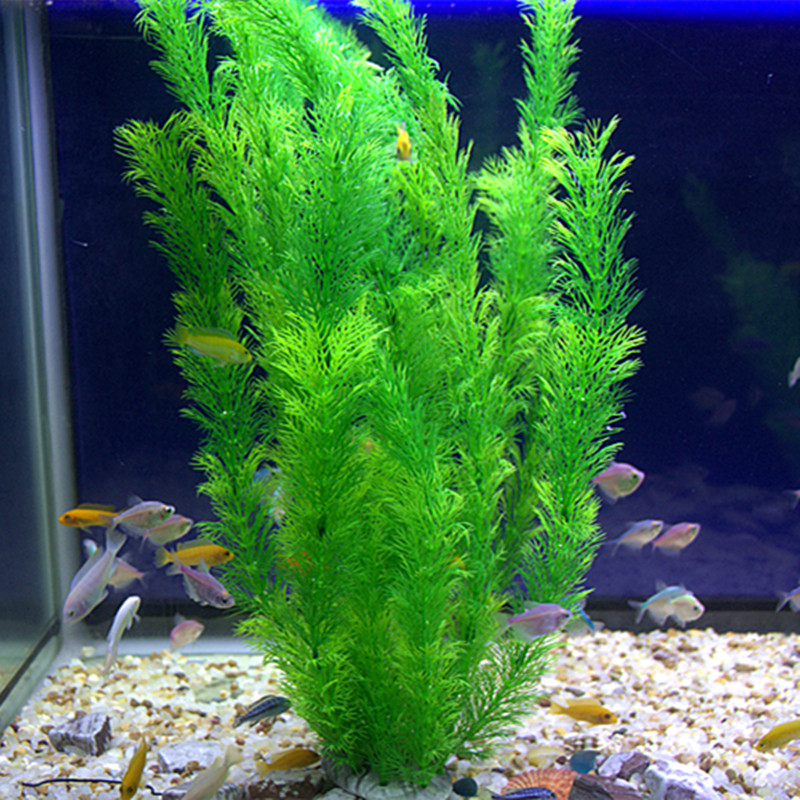 The decorations in the fish tank simulate aquatic plants aquarium landscaping fake plants soft plants flowers plastic plants green