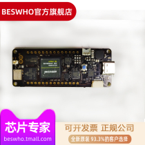 ABX00042(PORTENTA H7) CORTEX M4F M7F MCU development board Italian original