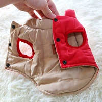 Жилет, кукла, весенняя летняя одежда, домашний питомец, кот