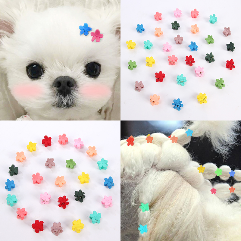 Pet hairpin puppy dog ​​headdress 10 flower hairpin Teddy hairpin hairpin Pomeranian small dog summer