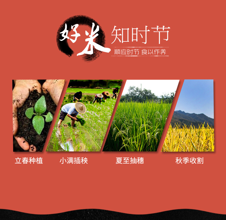福兴醉香 黑龙江五常大米 10斤 五常国标米GB/T 19266 图4
