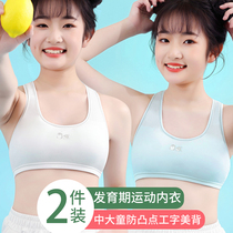 Girls Small Vest Summer Cotton for Young Girls in Junior School Students