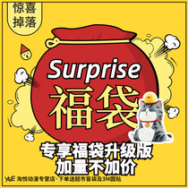 (Taoyue)Blind box lucky bag surprise drop 4-5 lucky bag Gongzi ornaments upgraded version