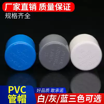 PVC water supply pipe cap square pipe plug bulkhead choke plug protective cover 20 25 32 40 50 63 75 90 110