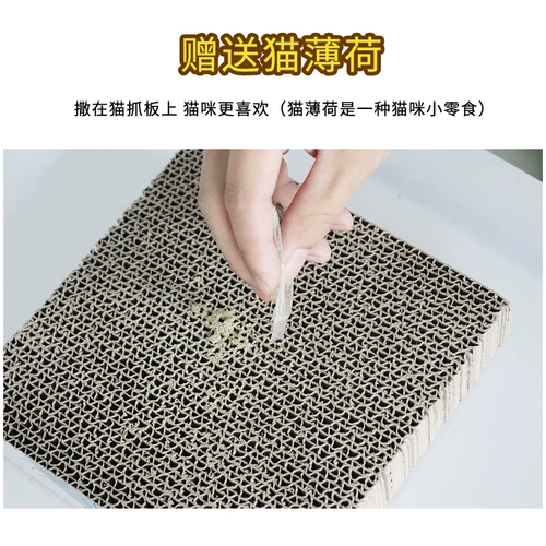 Кошка схватывает панель шлифований кошачья кошачья доска Catal Paper Products Cat Product