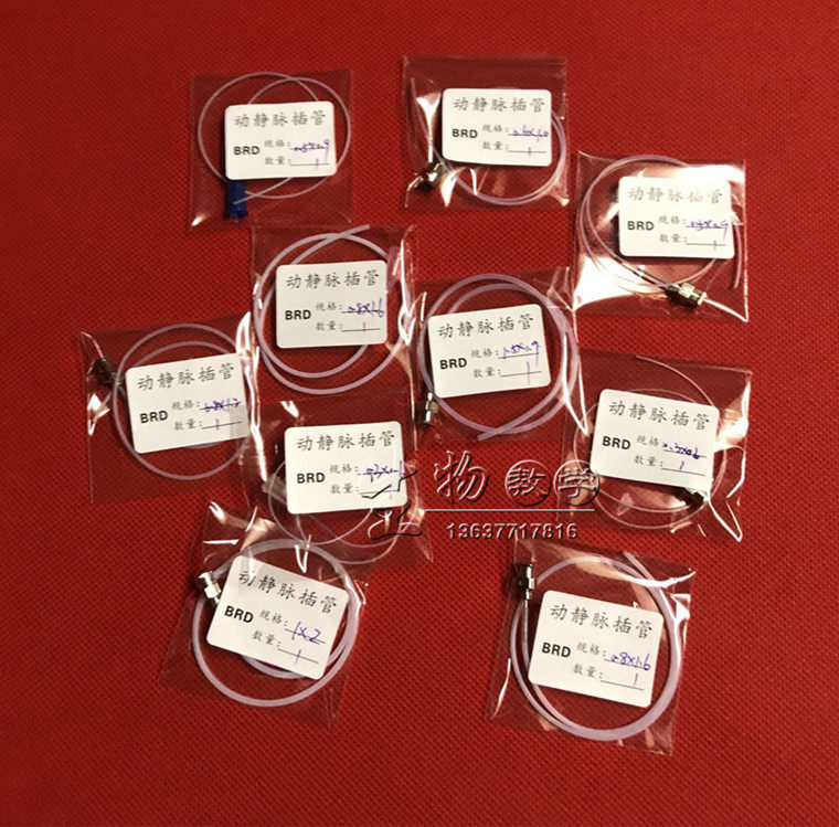 小鼠静脉插管 大鼠动脉插管 老鼠动脉插管 兔子动脉插管 静脉插管