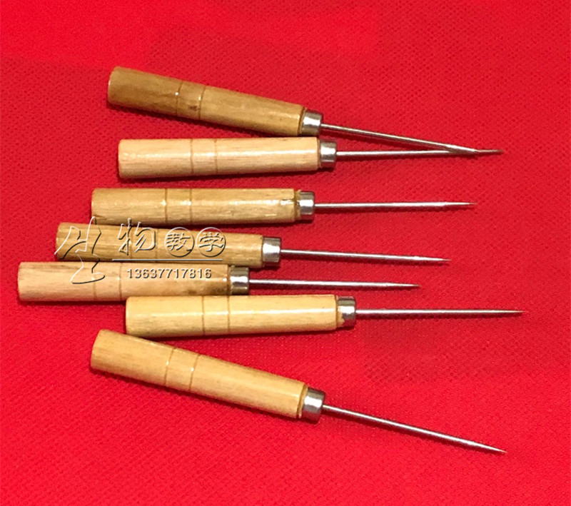 Frog probe probe wooden probe wooden handle fixed needle frog thorn frog needle dissection probe thorn frog needle