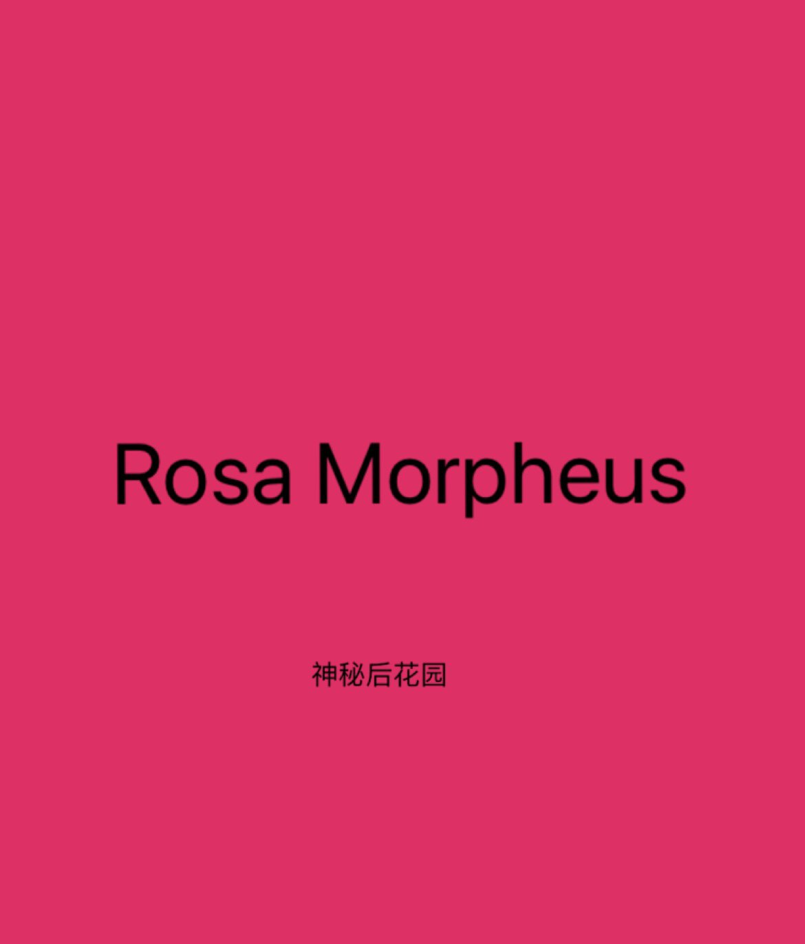 RosaMorpheus梦幻衣橱