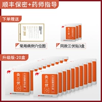 20 коробок, чтобы получить 3 коробки 276 наклейки+диаграмма Acupoint+SF