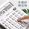Solar-Powered Calculator for Students and Accountants, Simple and Cute, Suitable for Office Use, Personalized Large Voice Calculator for Elementary School Students, Creative and Stylish Commercial Financial Calculator with 12-Digit Large Screen