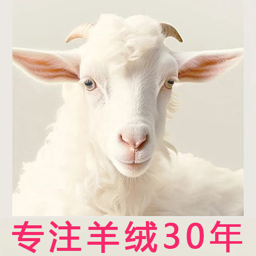 厂家直销品牌男装店