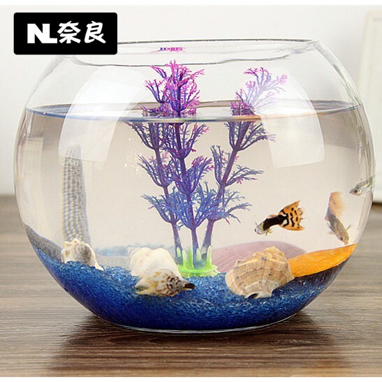 Fish tank raising flowers Simple glass table Small creative room Living room oval flat mouth Aquarium Home Italicate
