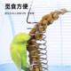 Parrot fruit fork bird with stainless steel fork fruit stick parrot feeder bird feeding fruit ພິ​ເສດ clip