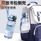 Youzhi Student Water Bottle for School, Portable Sports Water Bottle, Anti-Fall Plastic High-Temperature Resistant Cup, Men's Summer Water Bottle