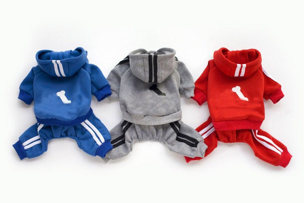 HTB10lUcadzvK1RkSnfoq6zMwVXan