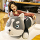 Husky plush toy dog ​​​​Erha doll bed sleep pillow long for girls ຂອງຂວັນວັນແຫ່ງຄວາມຮັກສໍາລັບເດັກຊາຍ