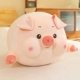 Dudu Ball Pig Round Eyes