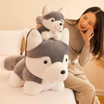 Husky doll doll cute two ha plush toy dog Bear girl sleeping pillow childrens doll male