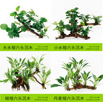 Shenmu real water plant landscaping Wood South American modeling grass package tool decoration Aquarium living body