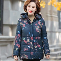 Тибетская бегония