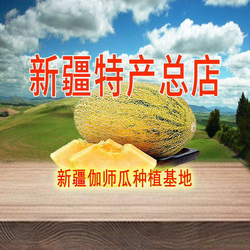 新疆特产总店的LOGO