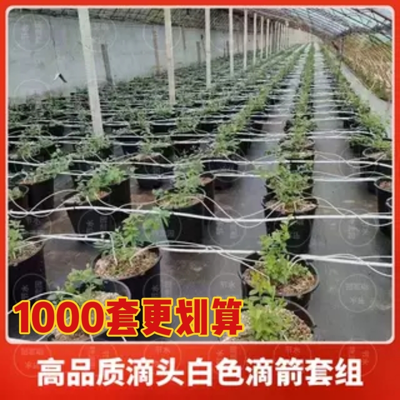 Pressure-Compensating Dripper Anti-Drip Irrigation Flow Stabilizer Blueberry Drip Arrow Set Automatic Irrigation System Pressure-Compensating Dripper Anti-Drip Irrigation Flow Stabilizer Blueberry Drip Arrow Set Automatic Irrigation System