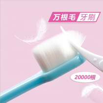 Japan ten thousand wool ten thousand hairy toothbrush soft hair small brush head Children adult postpartum ultra soft fine and efficient cleaning toothbrush