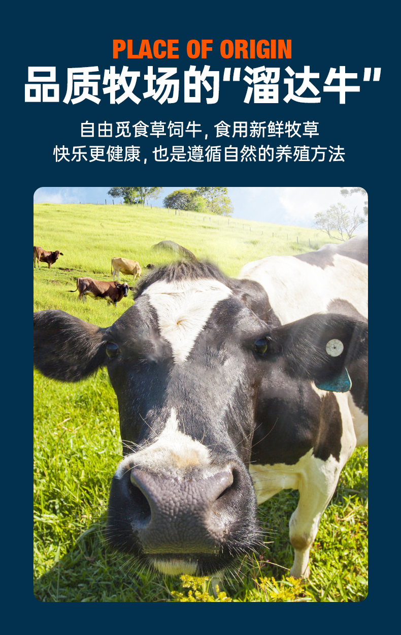 小牛凯西 黑椒菲力牛排 80g*10片 已通过核酸检测 图13