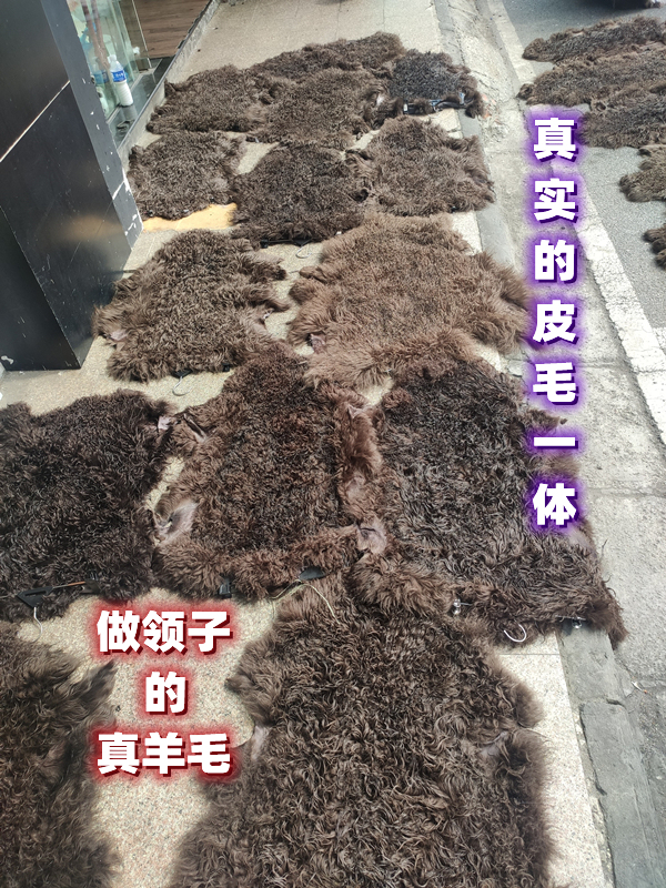 The Whole Piece of Natural Pure Sheep Curly Fur Is Used as the Collar, Inner Lining, and Outer Fur, Made of Real Wool, Integrated Real Fur, Raw Fur, Genuine Leather Material, Coffee Color
