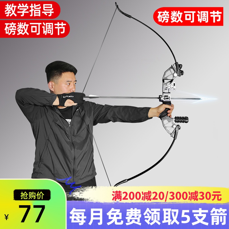 Lightning Wolf professional entry composite reverse bow and arrow set shooting outdoor sports Alloy traditional straight bow artifact