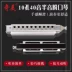 Nhạc cụ thi đấu chuyên nghiệp Harmonica 10 lỗ 40 âm sắc C harmonica C harmonica dành cho người lớn - Nhạc cụ phương Tây