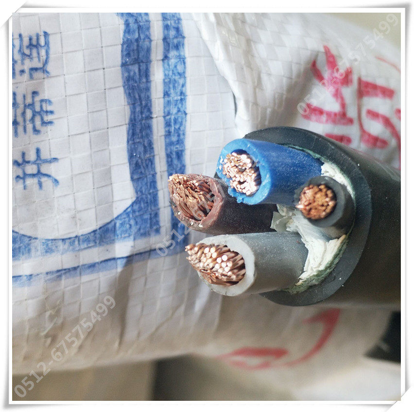 National Peumin Kunshan Yangtze River Cable YJV YFR3 * 10 1*6 three-phase four-wire copper core hardwire engineering cable