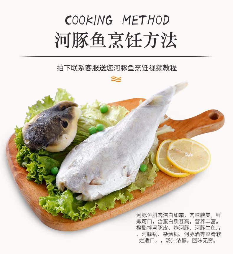 河豚魚宰殺前650g食用已處理淡水培殖河豚生鮮送魚皮魚肝2條裝 河豚魚宰殺前650g食用已處理淡水培殖河豚生鮮送魚皮魚肝2條裝