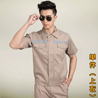 Хаки 【Одиночный верх】