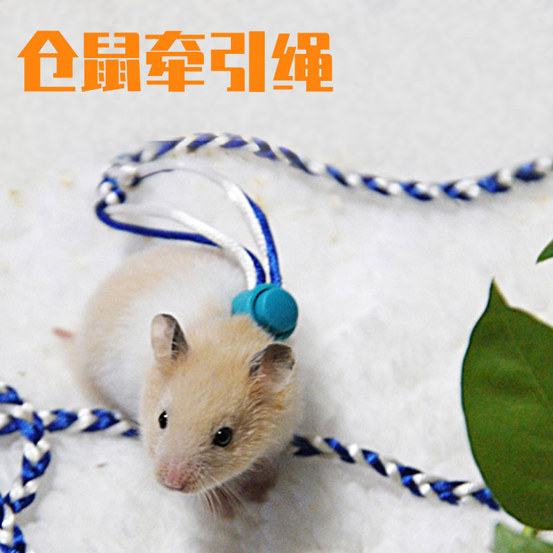 Hamster squirrel mink traction rope guinea pig chinchilla hamster bear hamster rope out rope