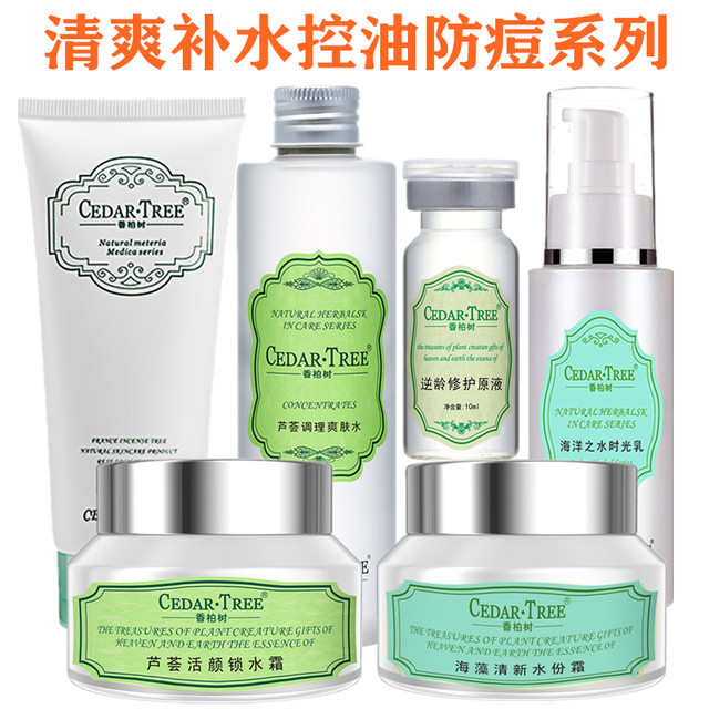 toner oil control acnes